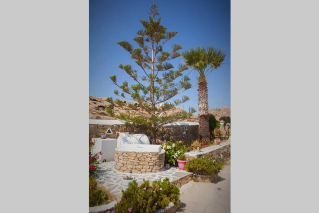 White Dreams Studio Mykonos Town Экстерьер фото